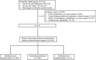 Subclinical/overt hypothyroidism may be associated with diminished ovarian reserve in infertile women independent of thyroid autoimmunity